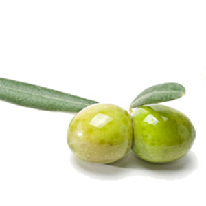 זן פישולין ירוק