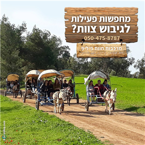 סדנאות גיבוש לעובדים