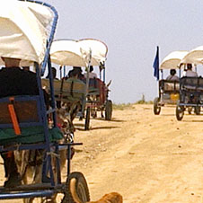 טיולי מרכבות חמורים